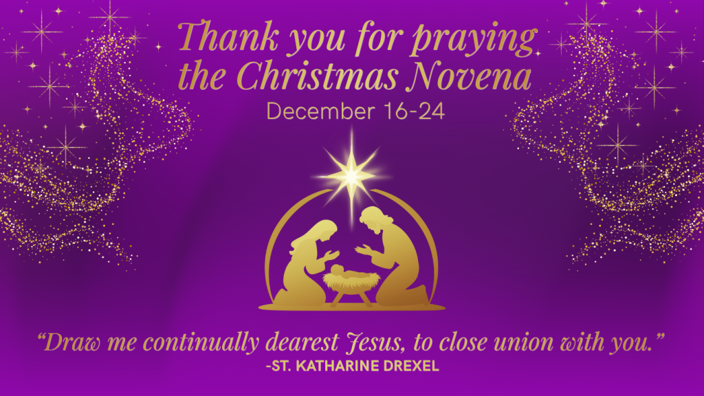 SBS 26 Xmas_Web Graphic_V01